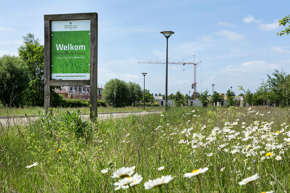 De Scheifelaar Veghel